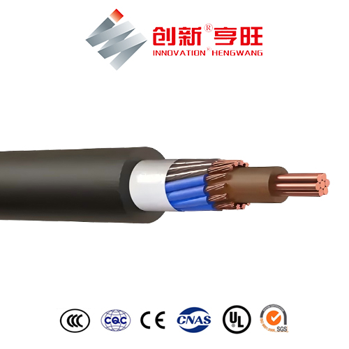 Concentric and Split Concentric Cables-BS