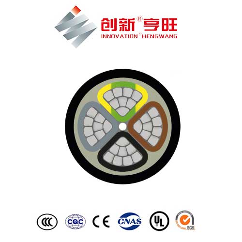 E-AYY Cable - Image 3