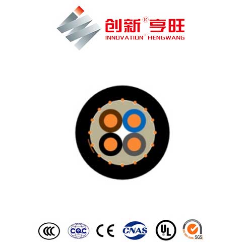 E-XYCY Cable - Image 3