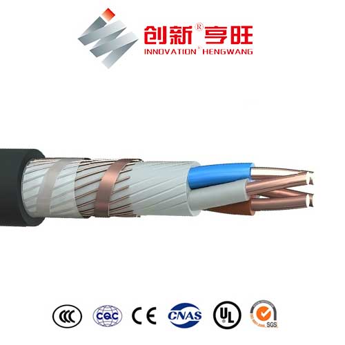 E-YCY Cable - Image 4