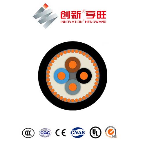E-YCY Cable - Image 3